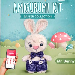 Mr. Bunny Amigurumi Set -...