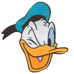 Donald Duck bestickte...