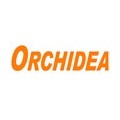 Orchidea